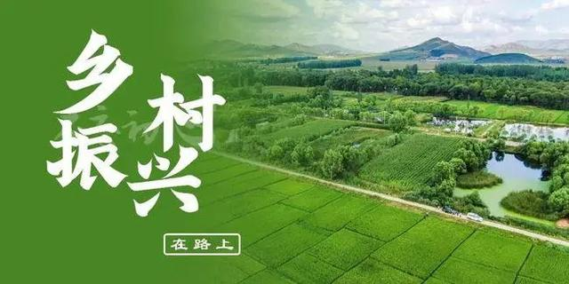 農(nóng)村電商發(fā)展助力鄉(xiāng)村振興