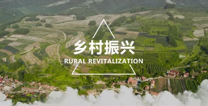 微信圖片_20240306104111.png