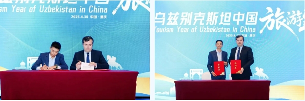 5555888.png